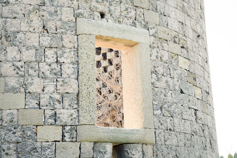 Finestra della torre colombaia
